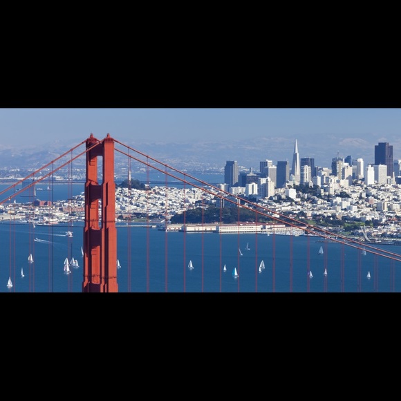 Meet your Posher, Nikki - Picture 1 of 1